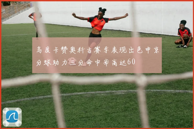 乌度卡赞奥科吉赛季表现出色申京分球助力三分命中率高达60