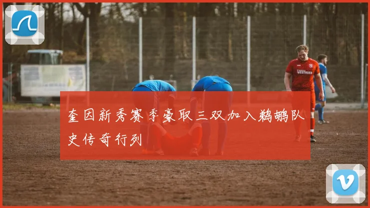 奎因新秀赛季豪取三双加入鹈鹕队史传奇行列