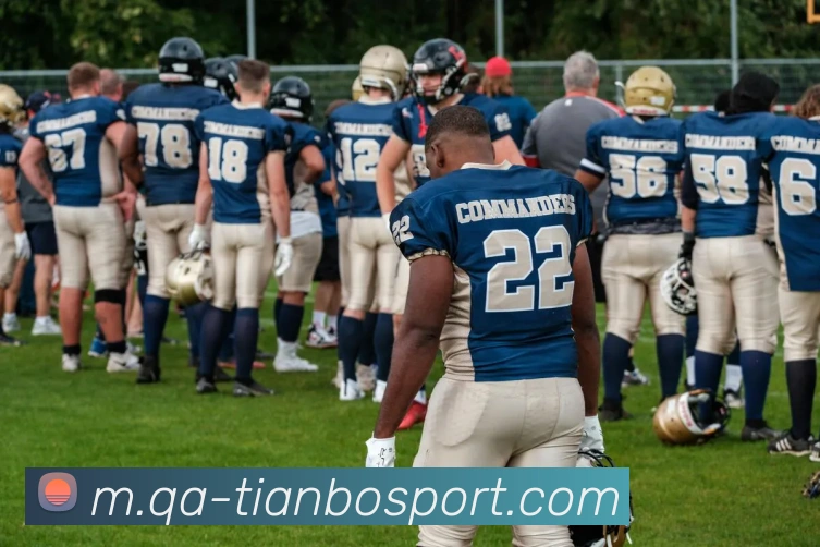 App Interface Preview